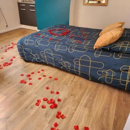 La Panthere Rose Apartment