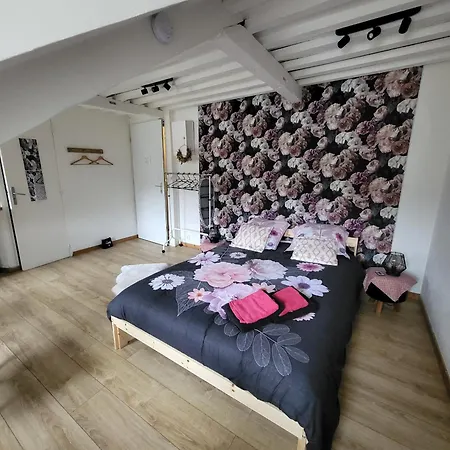 La Panthere Rose Apartment *