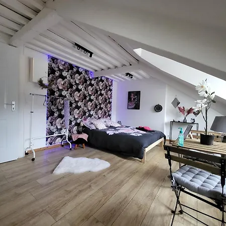 La Panthere Rose Apartment Honfleur