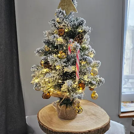 דירה La Panthere Rose *