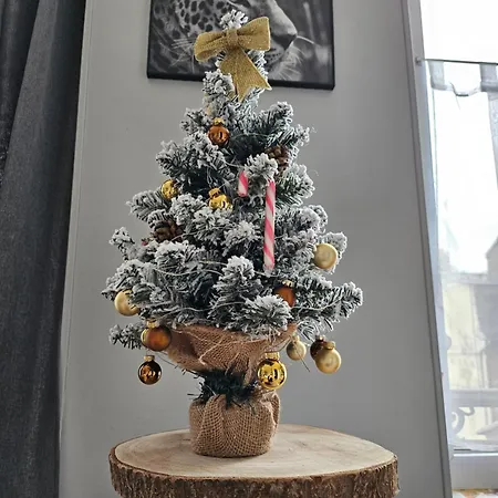 La Panthere Rose דירה