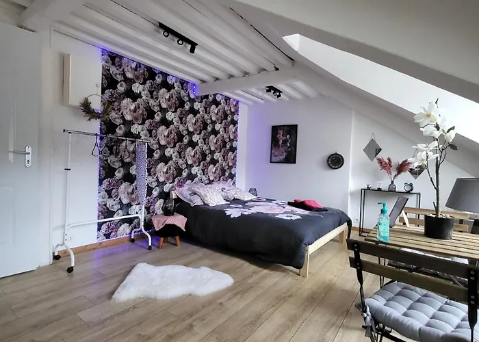 La Panthère Rose Appartamento Honfleur