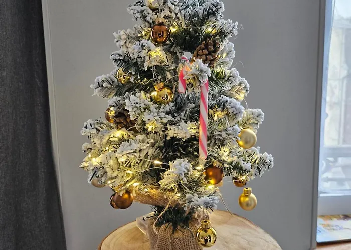 Appartamento La Panthère Rose *